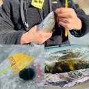 GR(화천군)-[상승로]-하-15 | 화천 가볼만한 곳 | 2024 화천 산천어축제 평일 예약 (준비물 리스트, 주차장 꿀팁)