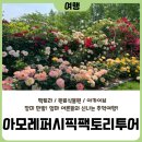 [여행] 엄마 어른들이 가볼 만한 경기도 정원 나들이, 장미가 활짝! (오산 아모레퍼시픽 팩토리 투어)
