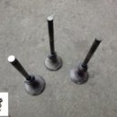 라온카센타 이미지