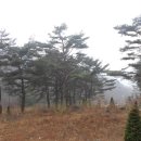 (주)효소자연치유센터 이미지