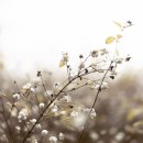 (주)화정 이미지