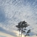 경주농장 이미지