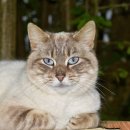 모양동물병원 이미지