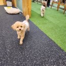 워니시티 이미지