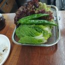 차돌박이농장 | 수원역 고기농장 🍖 친구들이랑 한우 차돌박이 먹으러 다녀왔어요!