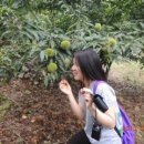 수현농장 이미지