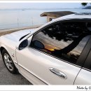 뉴 해변카센타 이미지