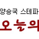 에로손