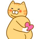 단지다방 이미지