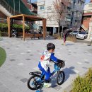 하마터어린이공원 이미지