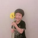 봄샘유치원 이미지