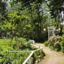 원주허브팜식물박물관 이미지