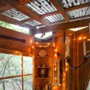 숲속 아지트 이미지