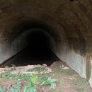 백일주유소 이미지