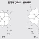 지름길