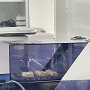 핸드벨세상 | 데미언 허스트 전시 후기