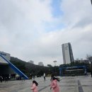 성실태권도 체육관 이미지