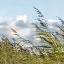 상리초등학교(병설포함) 이미지