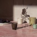 자연의 향기 이미지