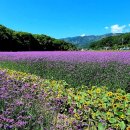 살맛나는세상 이미지