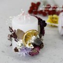 보테니컬 이미지