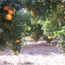 옛날농장1 이미지