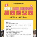 올굿 이미지