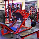 킹 휘트니스 이미지