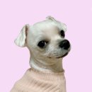 그로잉독 이미지