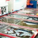 다대씨파크 이미지