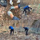 차강농장 이미지