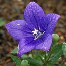 세탁과수선 이미지