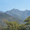 강감찬 동상 | 장군봉에서 청룡산과 관악산둘레길 지나 안국사까지 왕복 산행후기