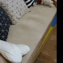 그린카페트 소파세탁 이미지