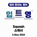 [입트영] 2024년 5월 6일 MON - Squash