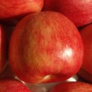 김동렬한의원 이미지