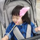 장미한복 이미지