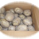 개진감자영농조합법인 이미지