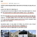 머무름 민박 | 미국 요세미티 국립공원 투어 총정리 / 샌프란시스코 VS LA 출발지별 비교