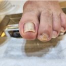 네일크루 이미지