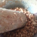 연풍농장 이미지