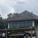 한채쭈꾸미 | [구미/음식점] 풍자 또간집 한채쭈꾸미 솔직후기 | 내돈내산