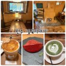 들꽃마실야생화 | 원주 신림면 정원카페 "들꽃이야기" 사계절마다 다른풍경을 보는곳
