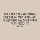 범찌일상 (압구정로데오 달마시안 포스터리 베이커 한남 EMIS 연남동 이마치 장끼전 영광 설도항)