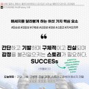 히스스토리