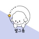 우리 애견 미용실 이미지