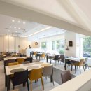 감선호취 이미지