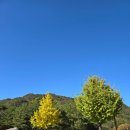 미륵리 마을회관 이미지