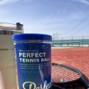 퍼펙트짐2 | 🎾 가연스포츠 퍼펙트 테니스공 솔직 후기｜가성비 좋은 시합용 테니스공 추천