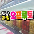 오프루토 | 포항 오프루토 컵과일, 과일도시락, 수제청 전문점 후기